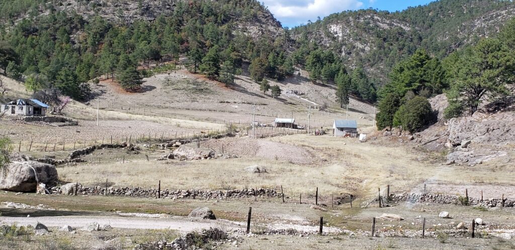 Mexican Landscapes