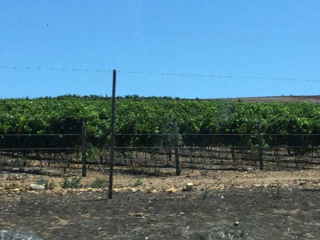 Wine Country